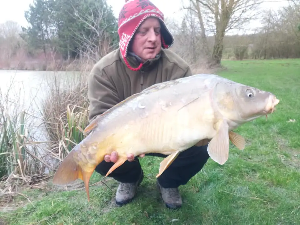 Cottage for 6 people in Chimay Chalet de l’Etang du Marteau